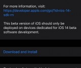 iOS 14 Beta 5终于更新！能玩王者荣耀了